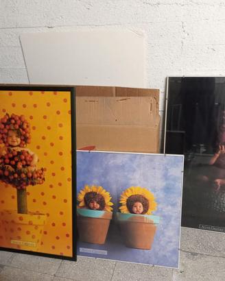 Quadri stampe Anne Geddes