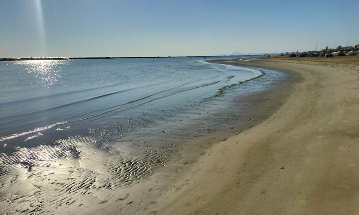 Last minute agosto casa al mare senigallia