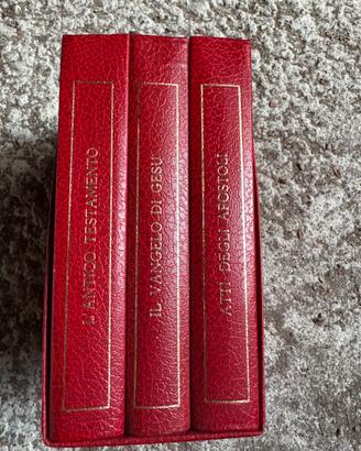 Bibbia rilegata in pelle da collezione