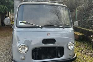 Pasini trasporto animali 1966