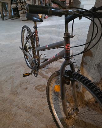 Bicicletta Mountain Bike Gatto - Grigio
