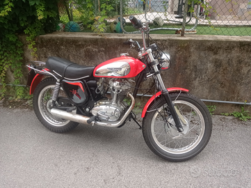 Ducati scrambler 350