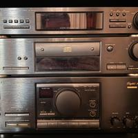 Sistema Hi-Fi Technics Serie SU-X 520D