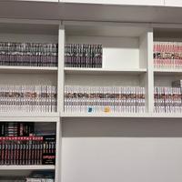 Collezzione completa manga One Piece 1-102 e 107