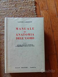 Gastone lambertini- manuale di anatomia  1972