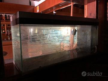 Vasca acquario 120x40x55h