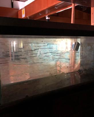 Vasca acquario 120x40x55h