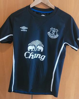 Maglia Everton  – Lukaku 10