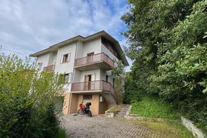 Bifamiliare ampie dimensioni Lusiana 139.000