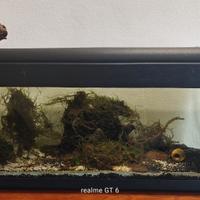 Acquario da 130 litri