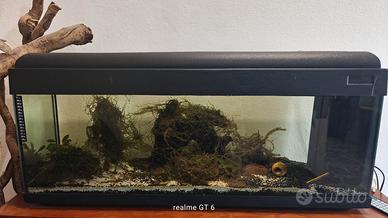 Acquario da 130 litri