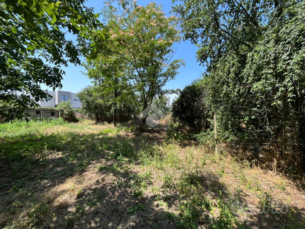 TER. AGRICOLO A SAN DANIELE PO - Vista 2