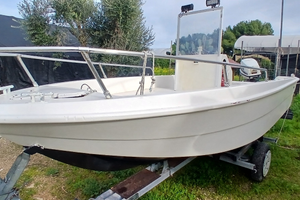 Barca con motore 40cv 2t