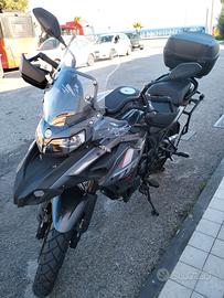 Benelli TRK 502 - 2024