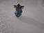 Immagine 6