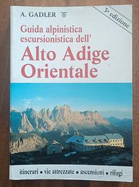 Gadler - Alto Adige Orientale  - Panorama 