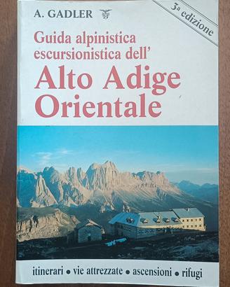 Gadler - Alto Adige Orientale  - Panorama 
