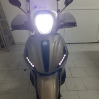 Beverly 300