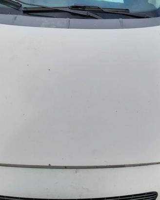 FIAT GRANDE PUNTO 2007 - COFANO ANTERIORE