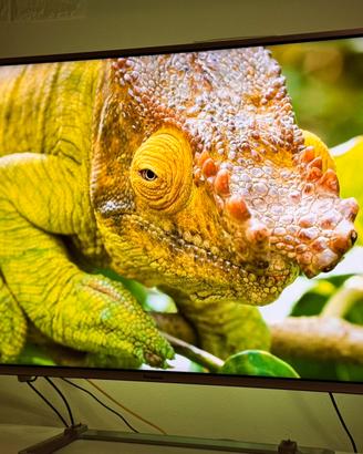 TV 48” Panasonic TX-48AS640E FullHD