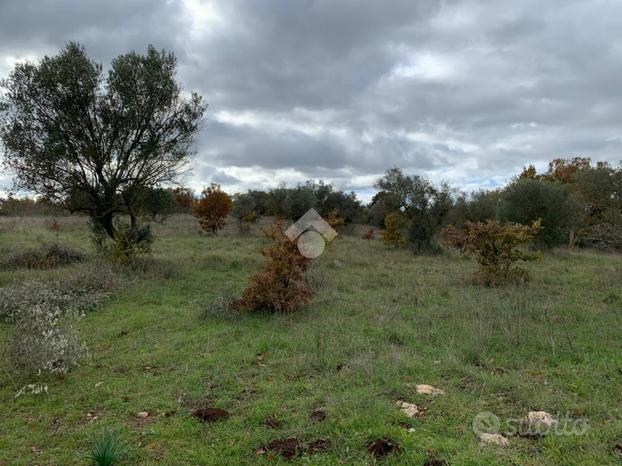 TER. AGRICOLO A SANTERAMO IN COLLE