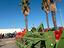 Immagine 7