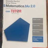 Matematica blu 5