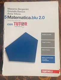 Matematica blu 5