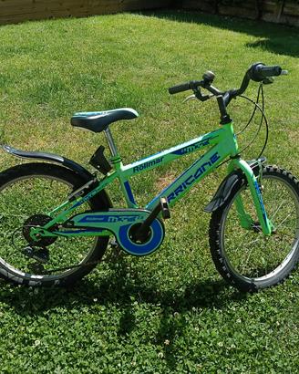bicicletta bimbo fascia età 6/8