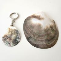 Portachiavi e conchiglia madreperla lungh. 10 cm