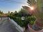 Immagine 29