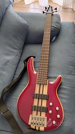 Basso Cort A5 plus FMMH a 5 corde