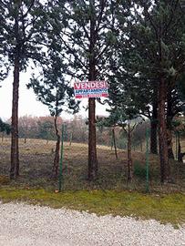 Appartamento con terreno e capanni