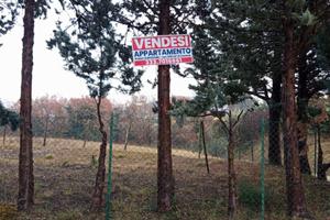 Appartamento con terreno e capanni