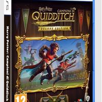 Harry Potter: Campioni di Quidditch