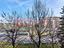 Immagine 12