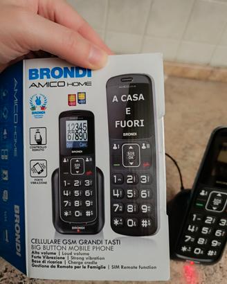 Brondi amico home