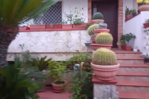 Vendita appartamento indipendente su due livelli