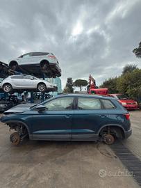 SKODA KAROQ 2.0 GASOLIO ANNO 2019 DISPONIBILE PER 