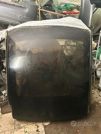 tetto panoramico smart 451