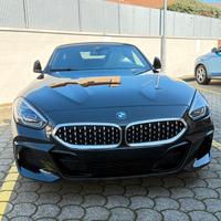 Griglie rene anteriore BMW Z4