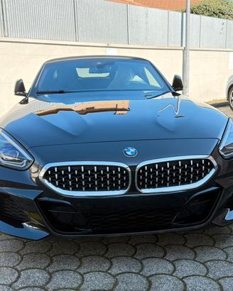 Griglie rene anteriore BMW Z4