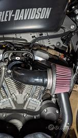 filtro aria sportster DK