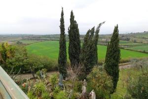 Tenuta per maneggio