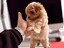 Immagine 15