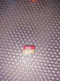 Memoria espandibile Sandisk Extreme