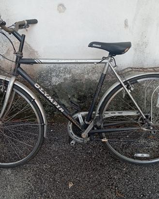 bicicletta perfetta andava bene con tutto 
