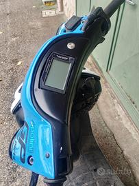 Zip sp polini