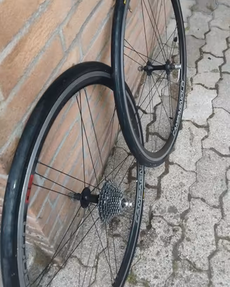 ruote campagnolo sirocco