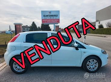 Fiat Punto 1.2 8V 5 porte LOUNGE